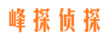 庆城侦探公司